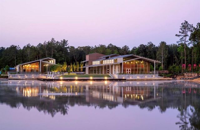 15835 Bird Of Paradise Drive, Conroe, TX 77302