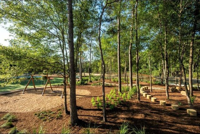 15835 Bird Of Paradise Drive, Conroe, TX 77302