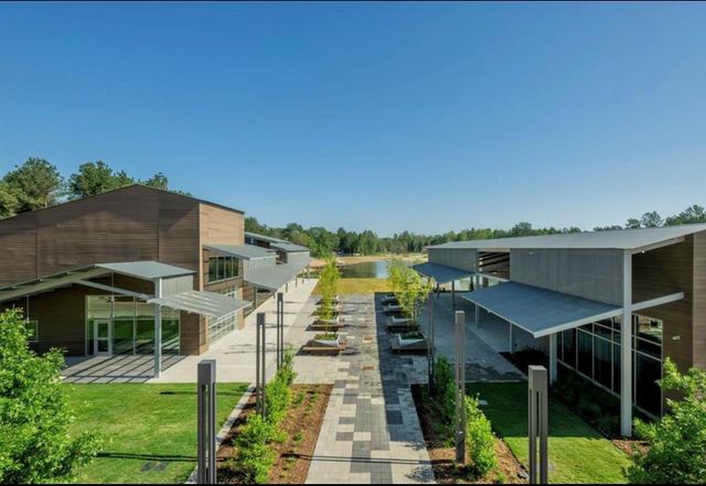 15835 Bird Of Paradise Drive, Conroe, TX 77302