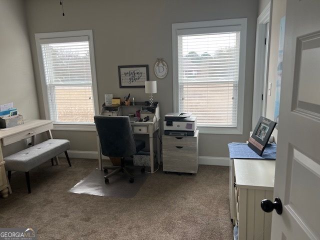 19 Chatham Court, Williamson, GA 30292