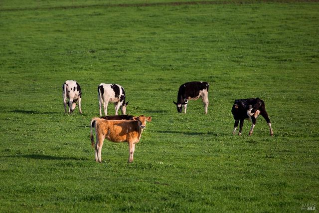 512 Keller St, Petaluma, CA 94952