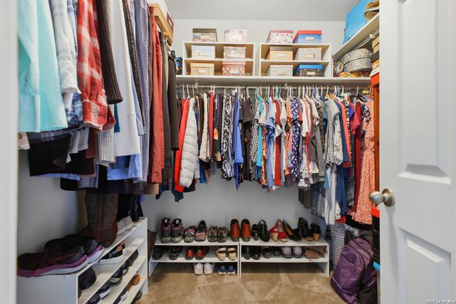 20331 Roche Oak, San Antonio, TX 78259