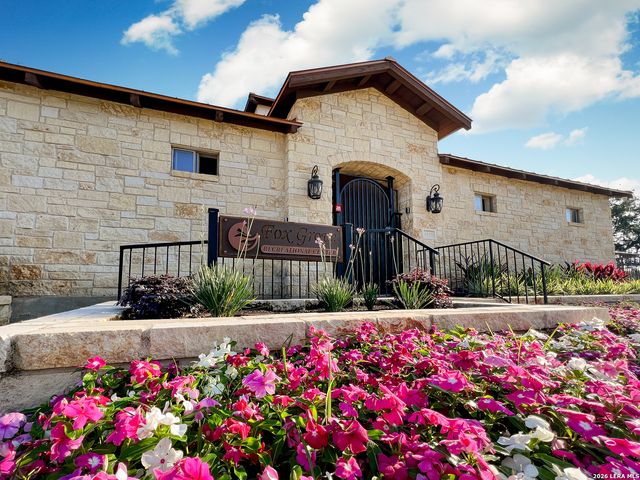 20331 Roche Oak, San Antonio, TX 78259