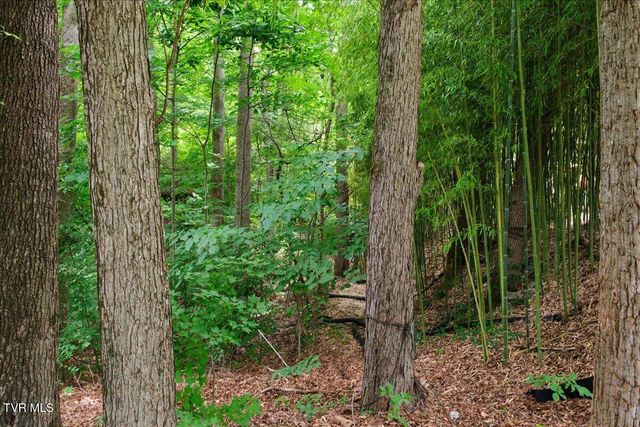 2031 Ridgefield Road, Johnson City, TN 37601