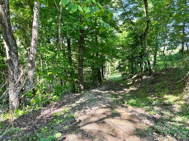 2177 Cannonball Road, Somerset, KY 42501