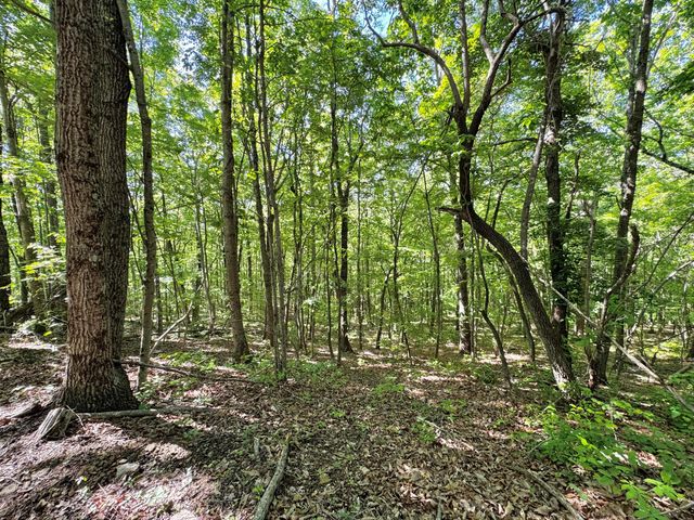 2177 Cannonball Road, Somerset, KY 42501