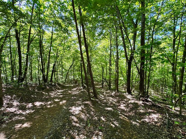 2177 Cannonball Road, Somerset, KY 42501