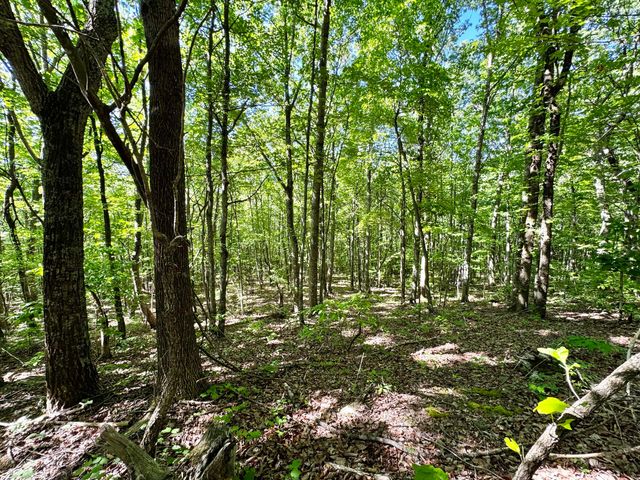 2177 Cannonball Road, Somerset, KY 42501