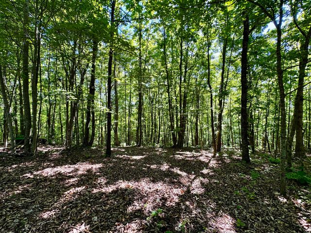 2177 Cannonball Road, Somerset, KY 42501