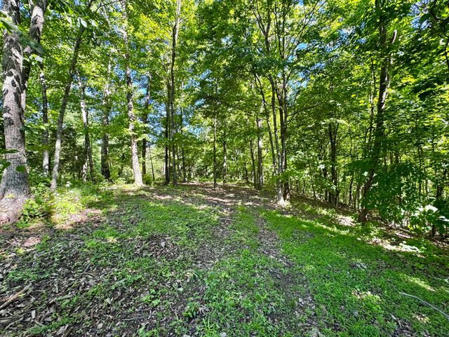 2177 Cannonball Road, Somerset, KY 42501