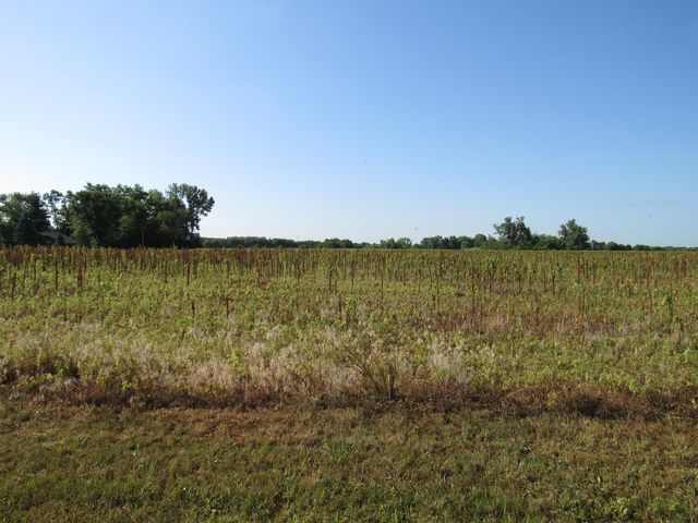 26125 W Kennedy Road, Braidwood, IL 60408