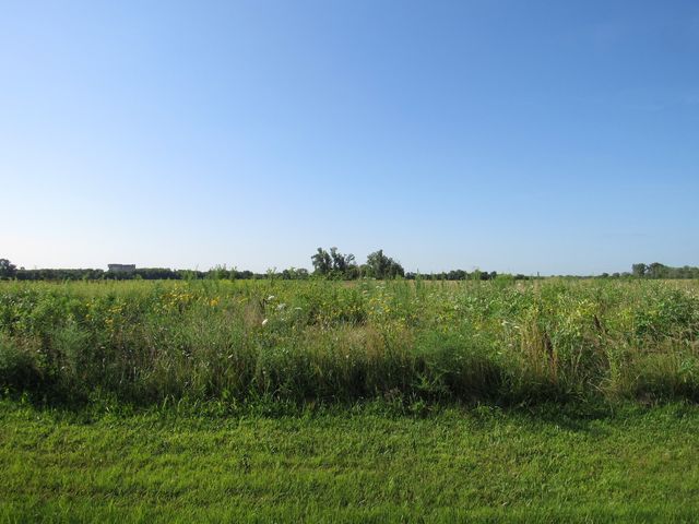 26125 W Kennedy Road, Braidwood, IL 60408