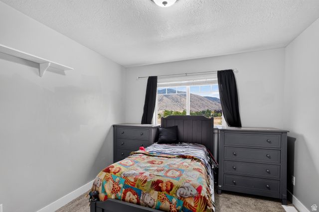 91 N 1275 W, Springville, UT 84663