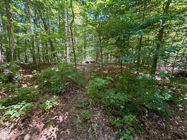 50 Boswell Circle, Travelers Rest, SC 29690