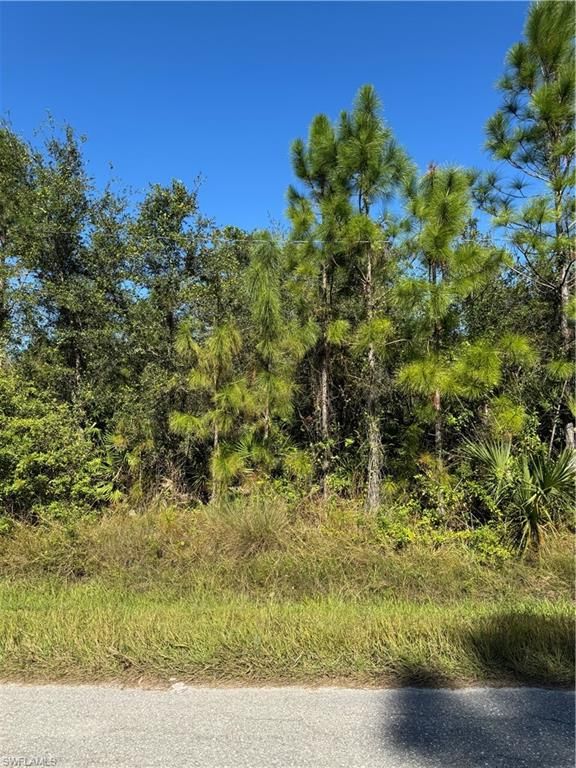 2501 9th ST, LEHIGH ACRES, FL 33936 — exterior