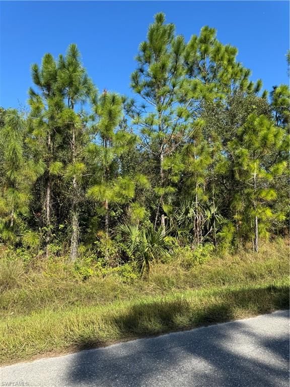 2501 9th ST, LEHIGH ACRES, FL 33936 — photo 2