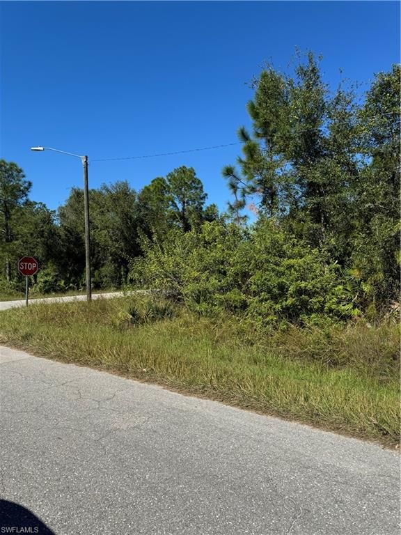 2501 9th ST, LEHIGH ACRES, FL 33936 — photo 4
