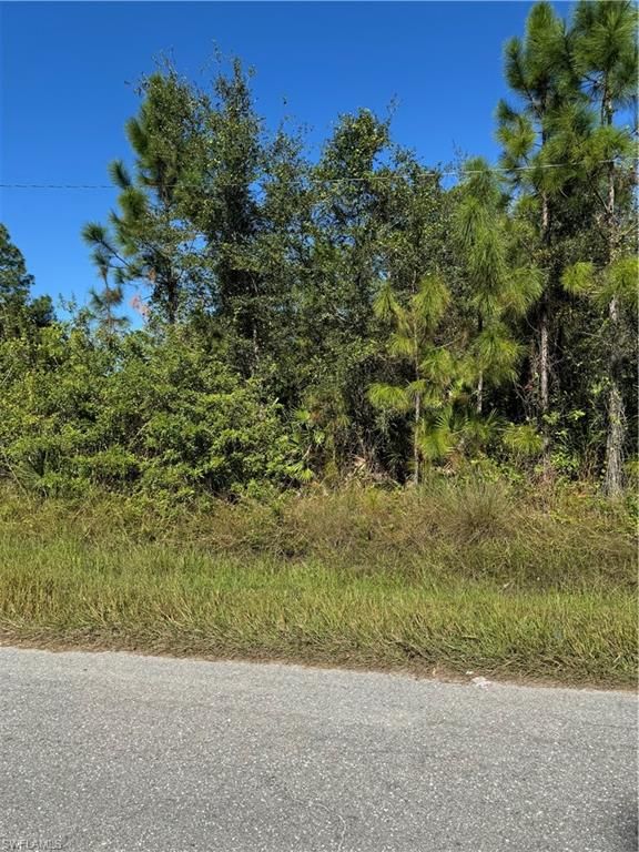 2501 9th ST, LEHIGH ACRES, FL 33936 — photo 5