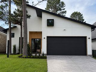36 Winthrop Harbor, Montgomery, TX 77356