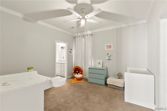5411 Park, Tuscaloosa, AL 35406