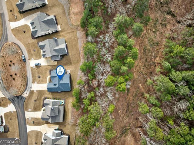 1411 Lake Drive, Greensboro, GA 30642