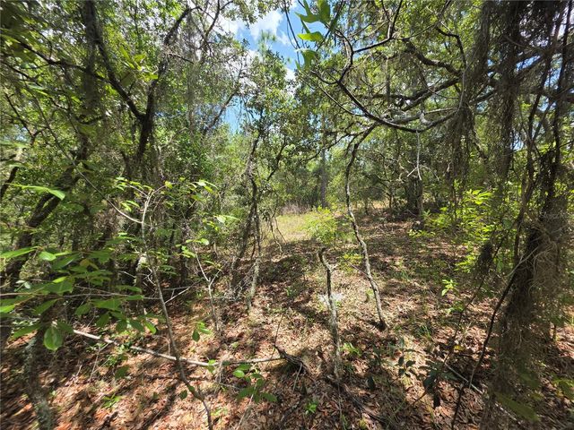 Lot 18 SW WOOD ROAD, Dunnellon, FL 34431