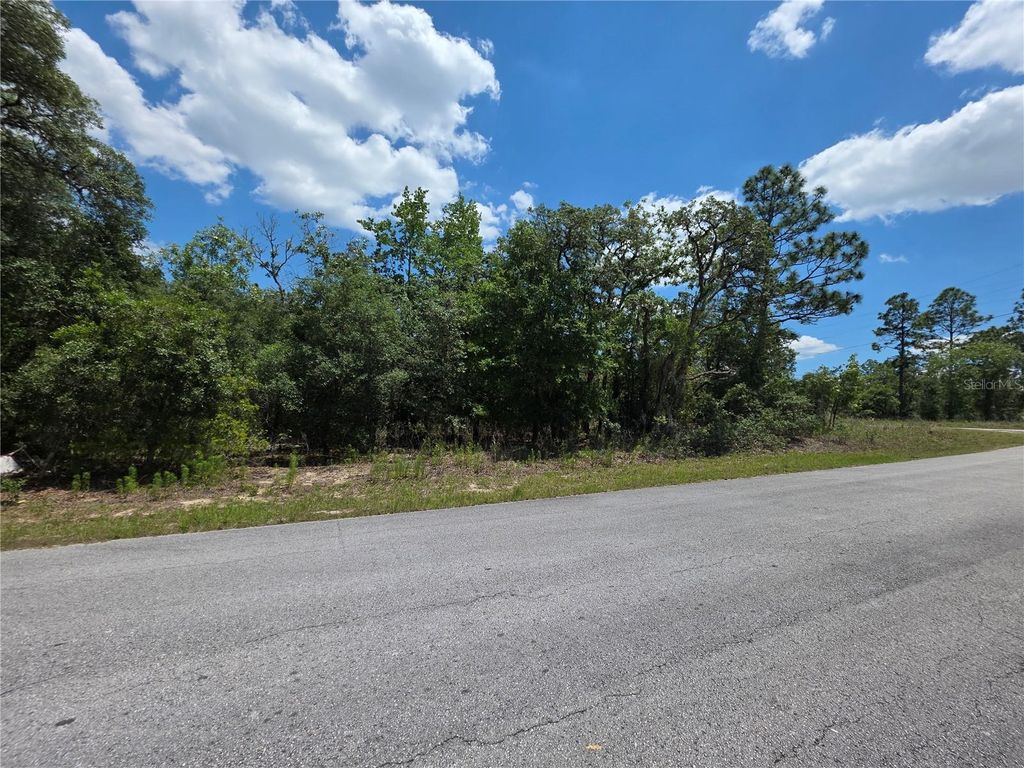 Lot 18 SW WOOD ROAD, Dunnellon, FL 34431