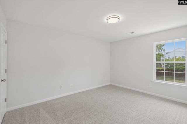 305 Lingonberry Drive, Hopkins, SC 29061