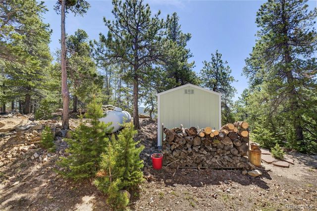 34028 Lyttle Dowdle Drive, Golden, CO 80403