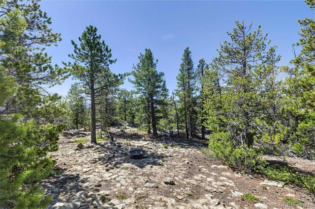 34028 Lyttle Dowdle Drive, Golden, CO 80403