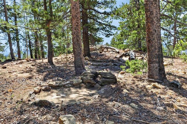 34028 Lyttle Dowdle Drive, Golden, CO 80403