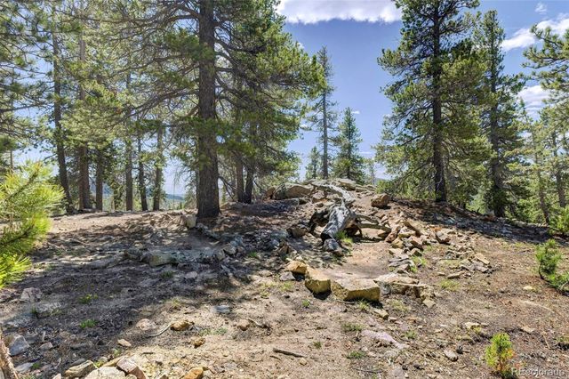 34028 Lyttle Dowdle Drive, Golden, CO 80403