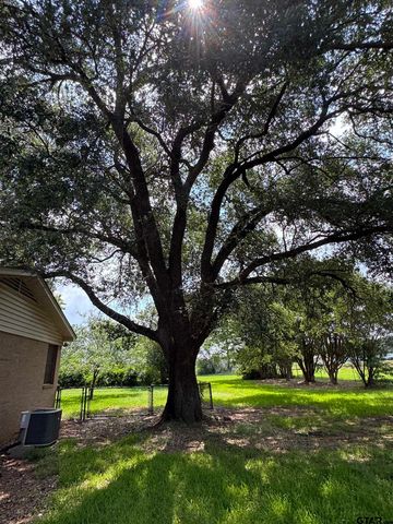 992 C R 1147 N, Tyler, TX 75704
