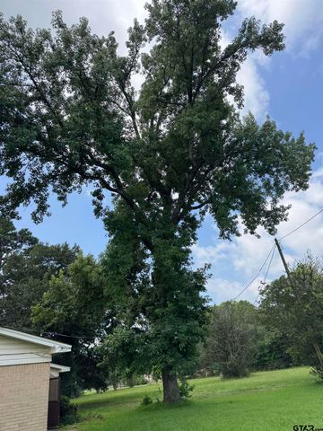 992 C R 1147 N, Tyler, TX 75704