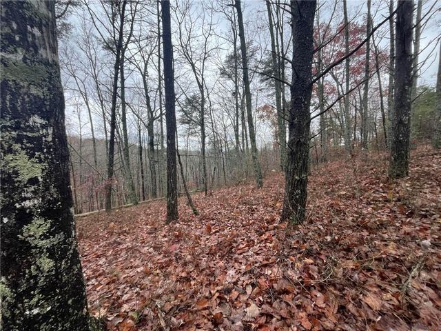 1450 Hanna Drive, Ranger, GA 30734