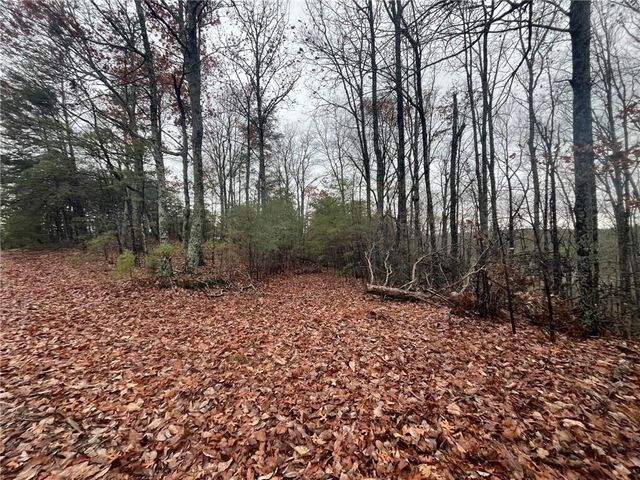 1450 Hanna Drive, Ranger, GA 30734