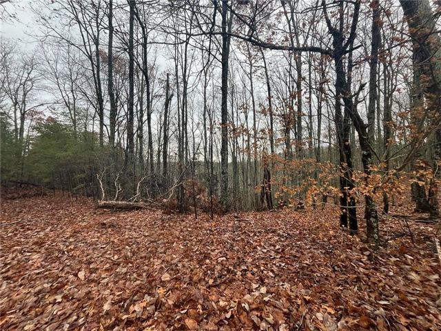 1450 Hanna Drive, Ranger, GA 30734