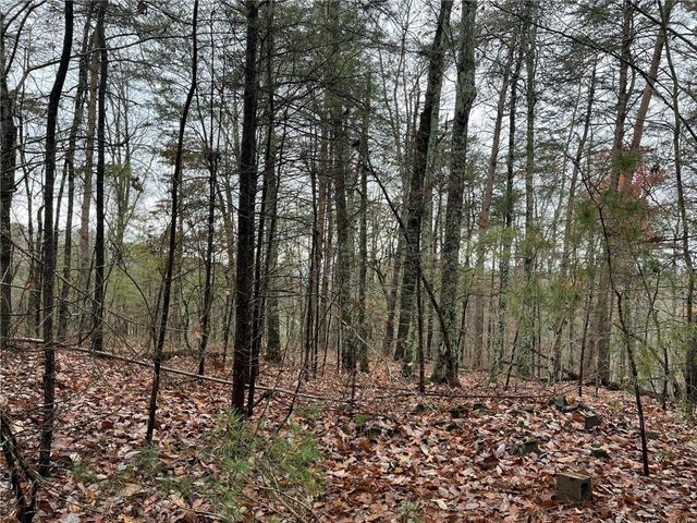 1450 Hanna Drive, Ranger, GA 30734