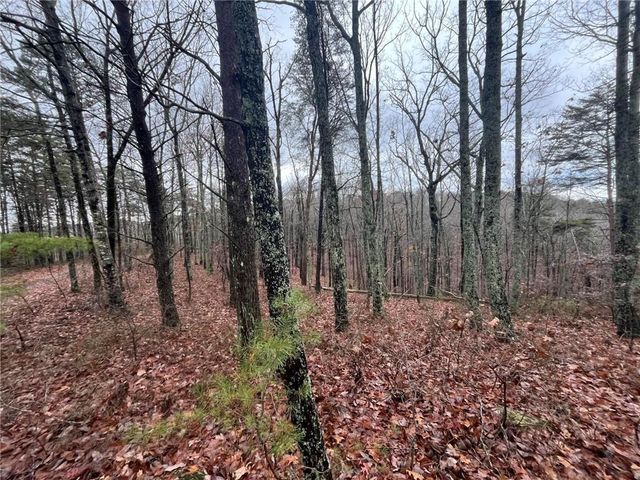 1450 Hanna Drive, Ranger, GA 30734
