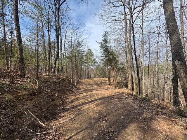 1450 Hanna Drive, Ranger, GA 30734