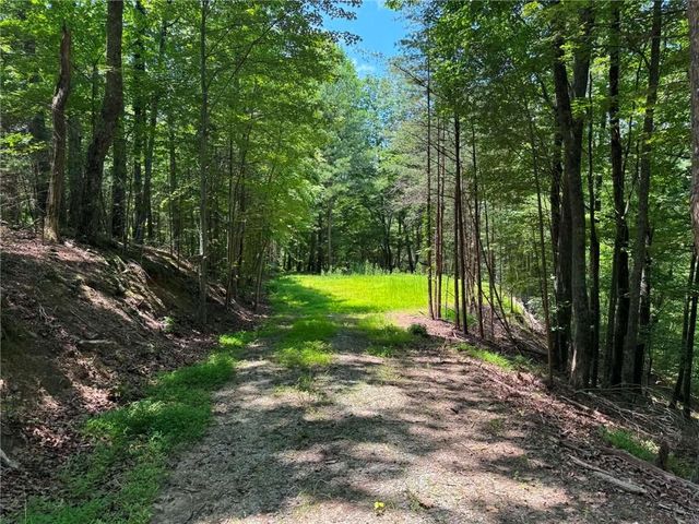 1450 Hanna Drive, Ranger, GA 30734