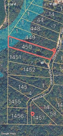 1450 Hanna Drive, Ranger, GA 30734
