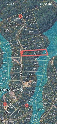 1450 Hanna Drive, Ranger, GA 30734