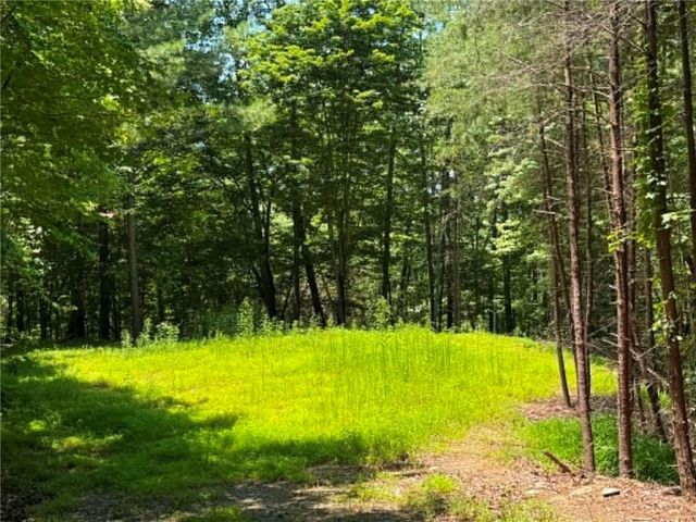 1450 Hanna Drive, Ranger, GA 30734