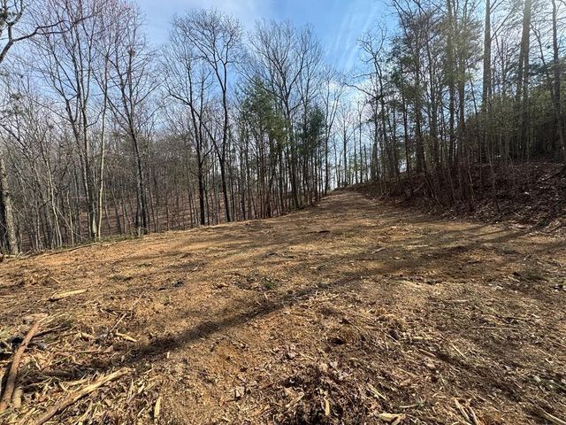 1450 Hanna Drive, Ranger, GA 30734