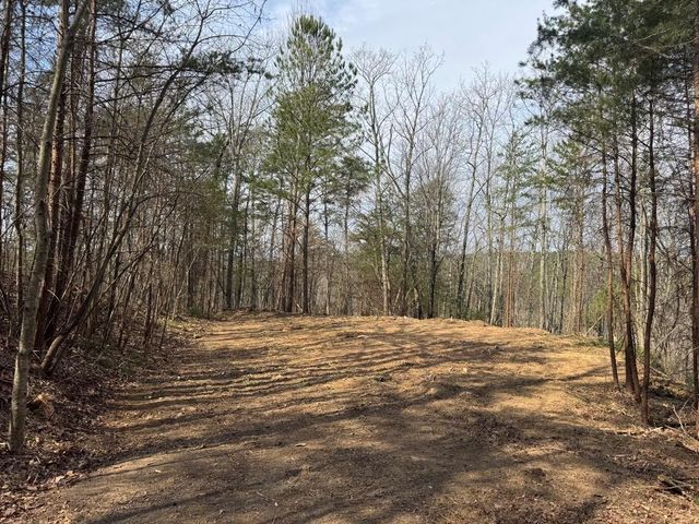 1450 Hanna Drive, Ranger, GA 30734