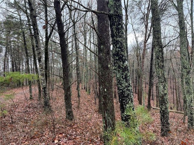 1450 Hanna Drive, Ranger, GA 30734