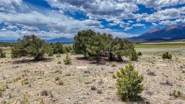 10119 Rawhide Creek Road, Nathrop, CO 81236
