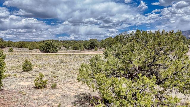 10119 Rawhide Creek Road, Nathrop, CO 81236