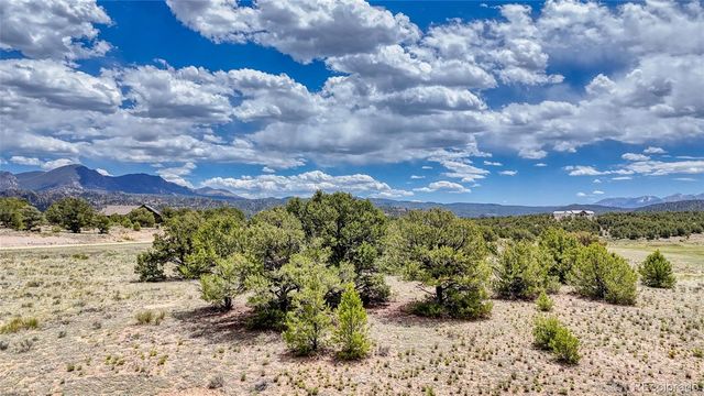 10119 Rawhide Creek Road, Nathrop, CO 81236